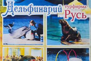 ДЕЛЬФИНАРИЙ
